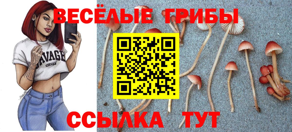 Псилоцибиновые грибы мухоморы Пушкино