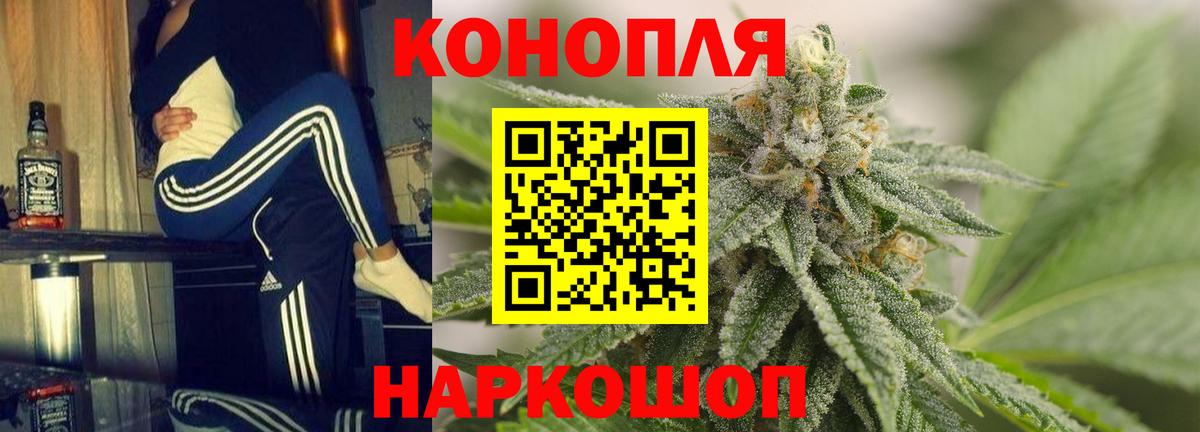 Бошки Шишки SATIVA & INDICA  МАРИХУАНА план  Вход с VPN  Каннабис SATIVA & INDICA  Пушкино 